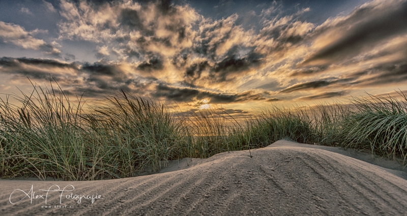 D854909_HDR