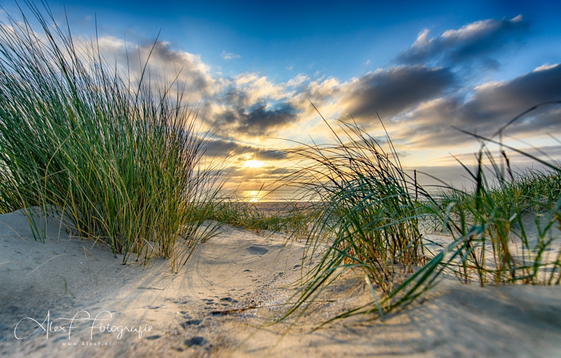 D854913_HDR