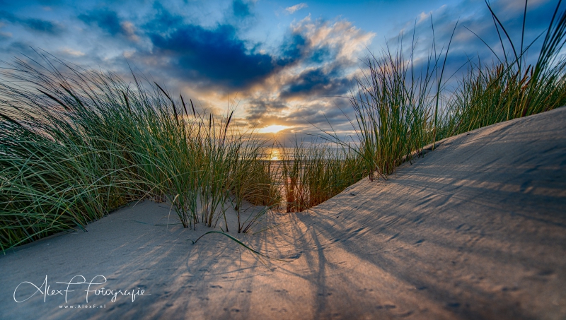 D854976_HDR