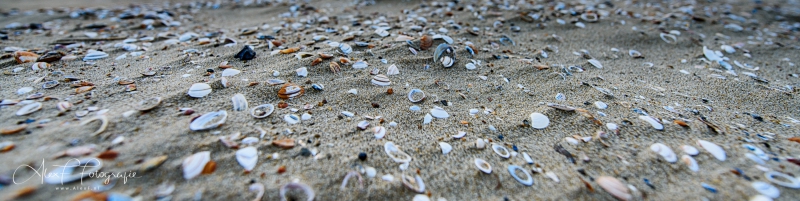 D855005_HDR
