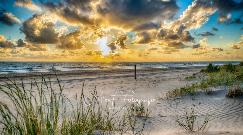 D856230_HDR