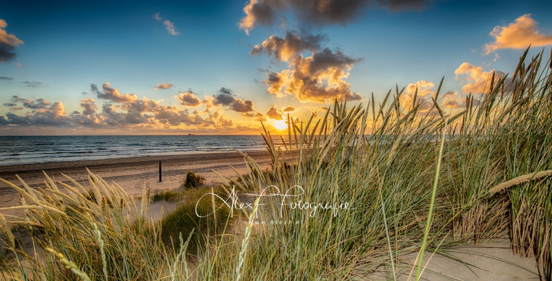 D856331_HDR-bewerkt