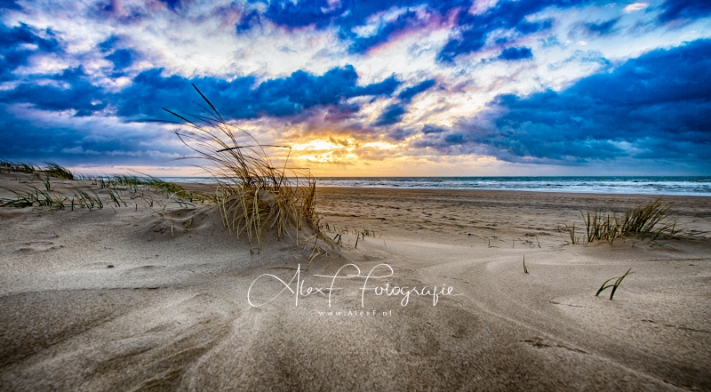 D85_2874_HDR