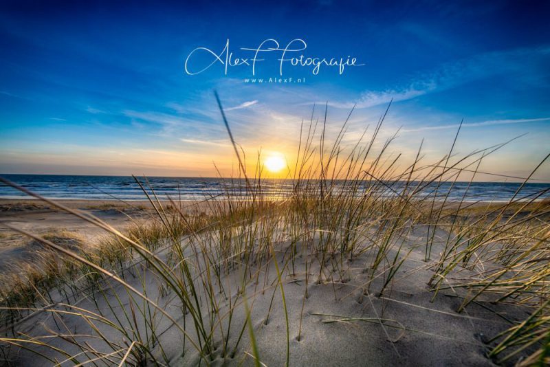 D85_3335_HDR-bewerkt-e1527406008951