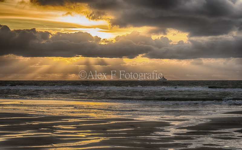 DSC_7681_HDR