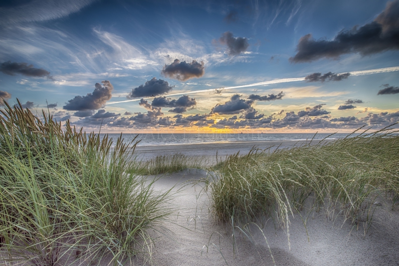 DSC_7879_HDR-3