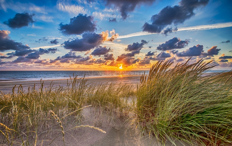 DSC_8081-HDR_HDR