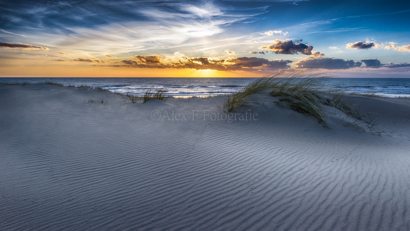 DSC_8282_HDR