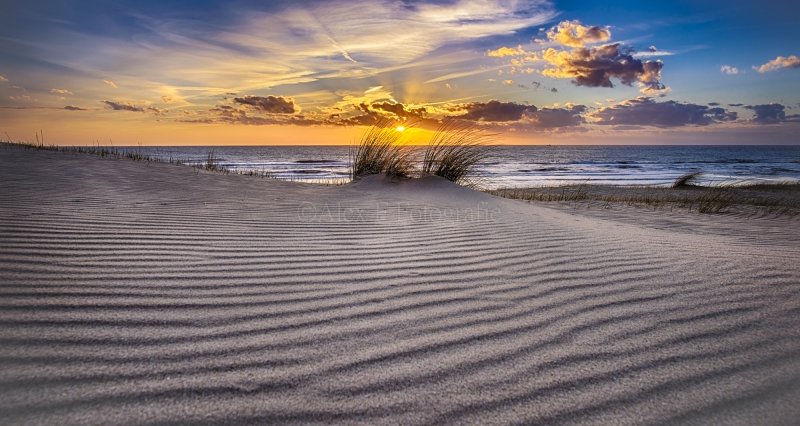 DSC_8318_HDR