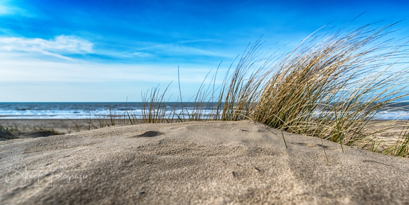 Heerlijk-in-het-Duin_-127x60