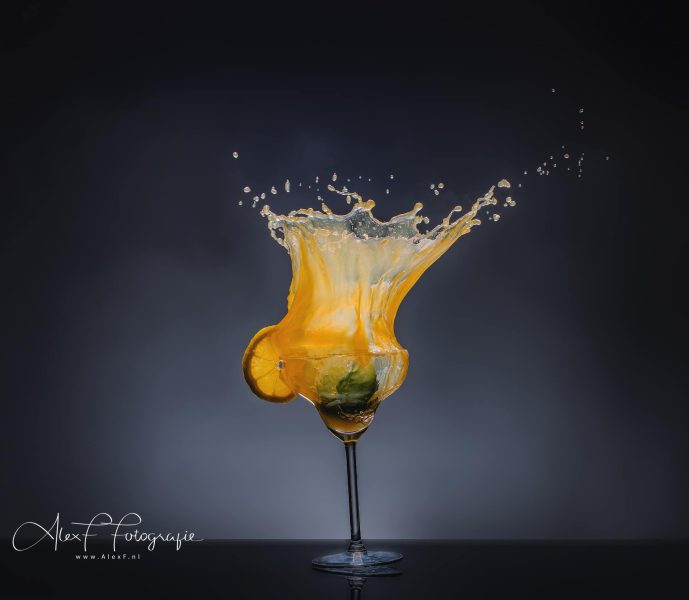 Lemon_Drop_2