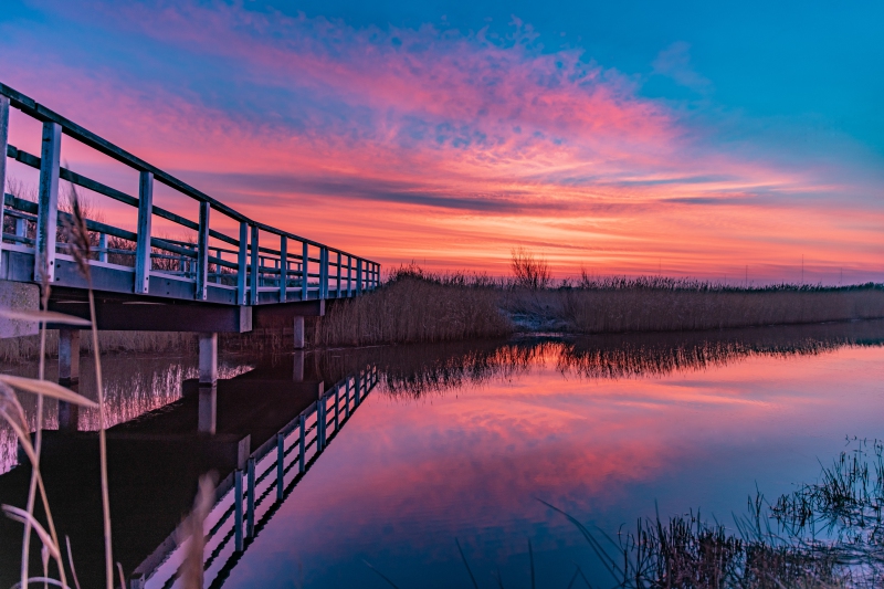 Natuur-4