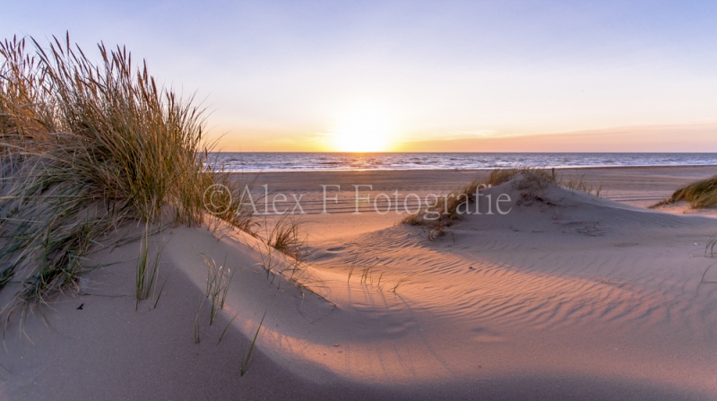 Strand3