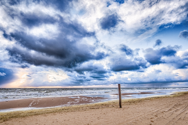 Voorjaarsstorm-120x80