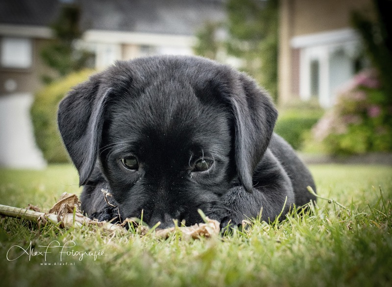 coco002